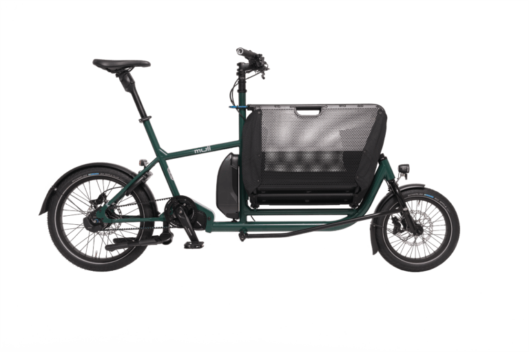 muli2024_motor-stPro_pinetree